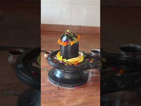 सिद्धेश्वर महादेव मंदिर #mahadev #mahakal #mahashivratri