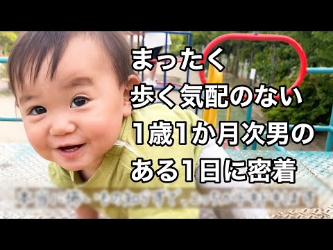 【１歳１か月】全然歩かない次男のある１日に密着しました【ハイハイ】