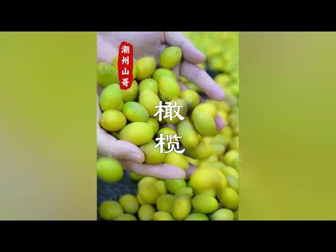 Chaoshan people make soup in autumn and winter without fresh olives# olives# soup# agricultural pro