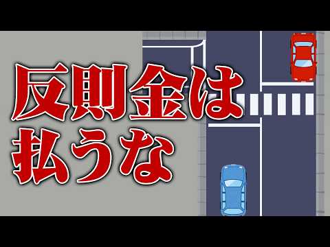 【歩行者妨害】警視庁と新たな闘いが始まりました6