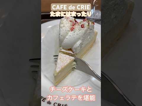 【カフェドクリエ】チーズケーキとカフェラテ #福岡グルメ