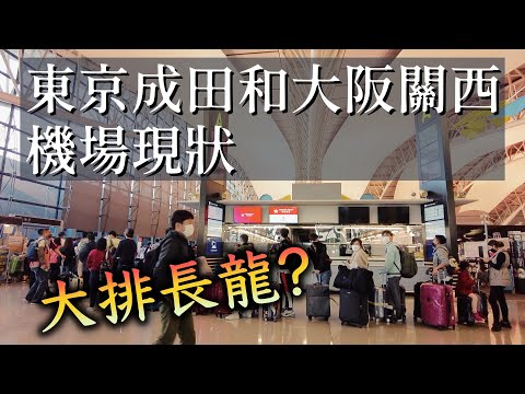 全面開放之後的日本兩大國際機場航班人流現狀如何?是否已經恢復以往的熙攘?