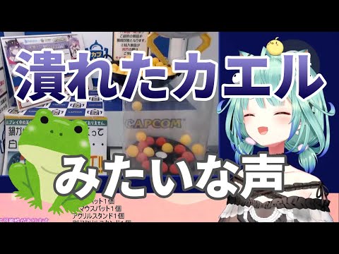 【潤羽るしあ】潰れたカエルのような声を出するしあちゃん【ホロライブ切り抜き】