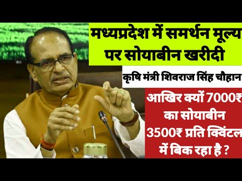 समर्थन मूल्य msp पर सोयाबीन खरीदी को लेकर केन्द्रीय कृषि मंत्री shivraj singh chauhan का बड़ा ऐलान।