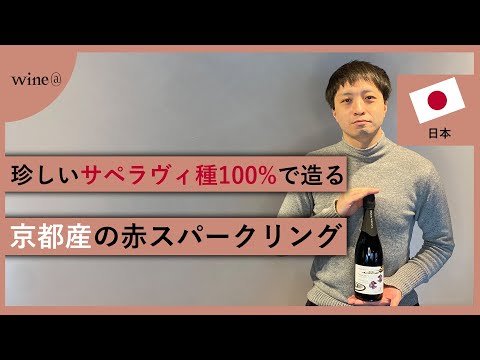 【珍しいサペラヴィ種100%で造る/京都産の赤スパークリング】丹波ワイン / 京丹後産 サペラヴィ スパークリング（日本）