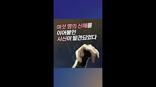 봉제인형 살인사건 시리즈