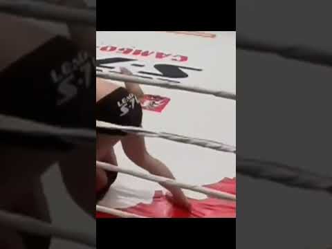 DENIS GOLTSOV SPINNING BACKFIST KO