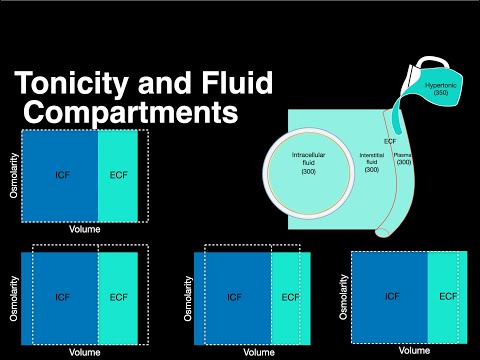 Tonicity and Fluid compartments #anatomy #osmolarity #physiology #solutions