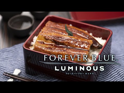 【FOREVER BLUE LUMINOUS】美味しいお魚たち【荒咬オウガ /ホロスターズ】