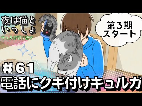 第３期スタート！【夜は猫といっしょ:61夜目】（字幕付き）