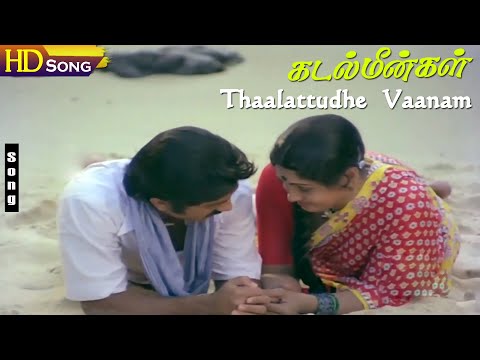 Thaalattudhe Vaanam HD | Kamal Haasan | Sujatha | Ilaiyaraaja | Jayachandran | S.Janaki Love Hits