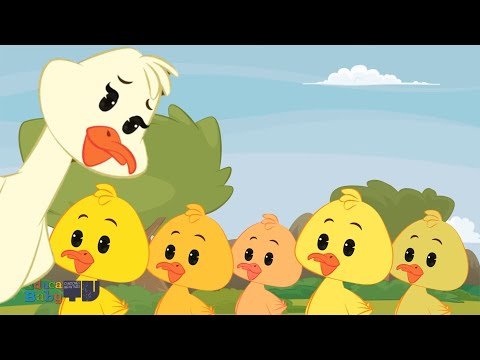 🦆 Cinco Patitos Se Fueron a Nadar - Patitos Cua Cua - Canciones Infantiles - Canciones de la Granja