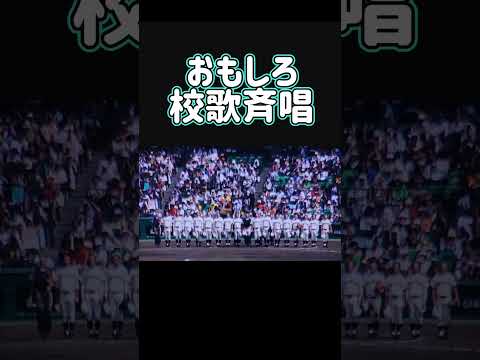 【可愛くてごめんに編集して変えてみました！】#甲子園#shorts #校歌斉唱#おもしろ動画#おもしろ編集校歌