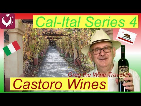 Cal-Ital Wineries Series Part 4: Castoro Winery