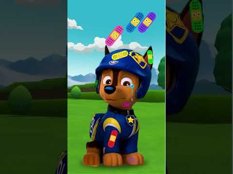 #pawpatrol #chaze #cartoons #funny #colors #knowledge #learning #learningcolors #subscribe #formore😊