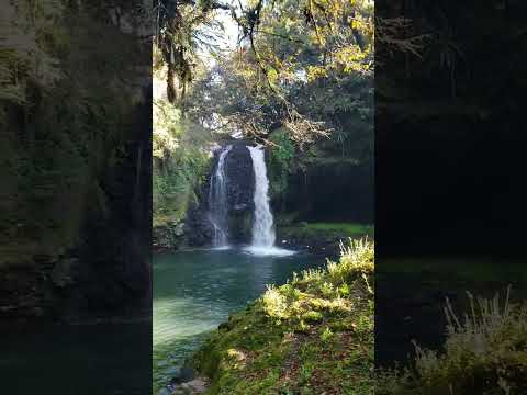 Realmente Genial La Poza de La Cueva en el Río Naolinco