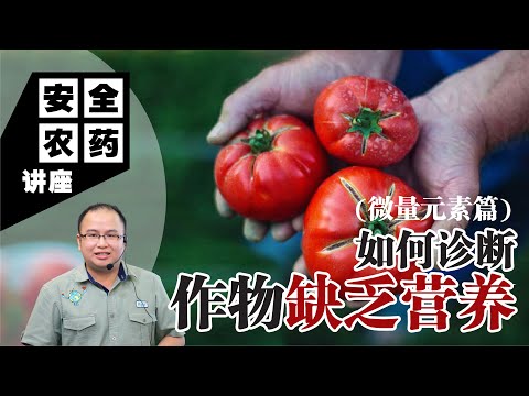 【Baba安全农药讲座】如何诊断作物缺乏营养？| 微量元素篇 | 植物呈现的任何状况都是它求救的信号！你错过了补救的黄金时刻?！| 植物肥分