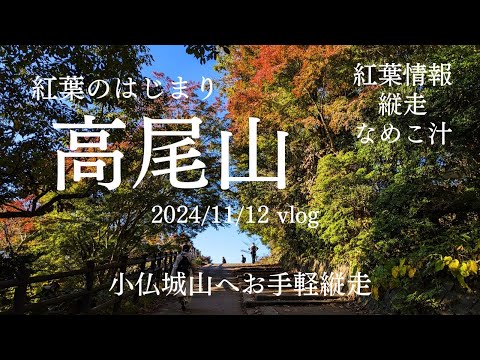 紅葉のはじまり▲高尾山＆小仏城山縦走　2024.11