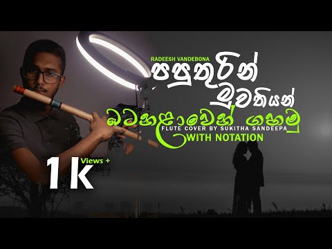 How to play Paputhurin (පපුතුරින් මුවතියන්) in Flute - Sukitha Sandeepa