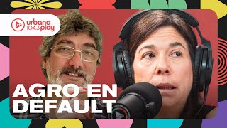 Los Grobo, Agrofina y Surcos, tres grandes empresas del agro en default: Matías Longoni #DeAcáEnMás