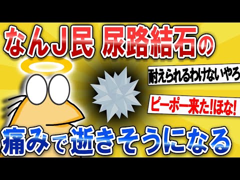 【なんJ面白スレ】なんJ民 尿路結石の痛みで逝きかける