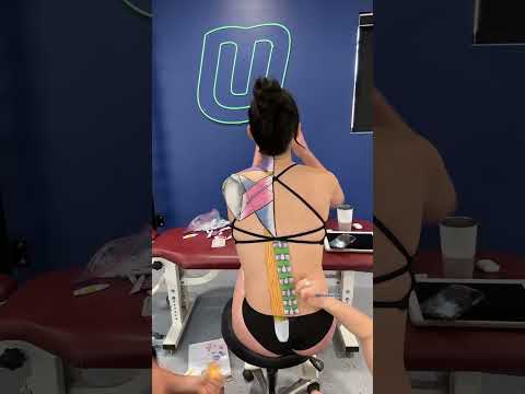 Time-lapse Anatomy Art