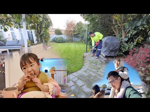 又到了满地落叶，花园最难打理的季节了（新西兰 Harold Vlog 855）