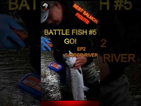 Killer Fish fight #5 #confidence now! #coho battle with #bobbers #shortsvideo #shorts #fishing