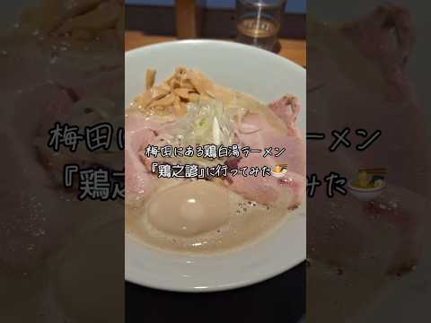 梅田にある鶏白湯ラーメン屋『鶏之諺』に行ってみた🍜#梅田#鶏白湯ラーメン#鶏之諺