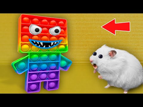 THE BEST MONSTERS COMPILATION 🐹 Hamster Maze with Traps [OBSTACLE COURSE]