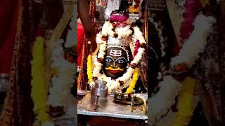 Mahakal status, mahakaleshwar ujjain, mahadev, har har shambhu, Baba mahakal ujjain #shorts