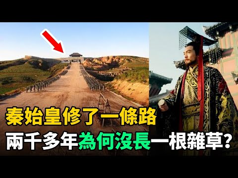 秦始皇修了一條路，往後2000多年時間，為何路面沒長一根雜草？