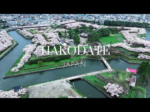 【函館】札幌発JRで日帰り函館観光・満開の桜・女一人食べ歩き/ Hakodate Cherry Blossoms