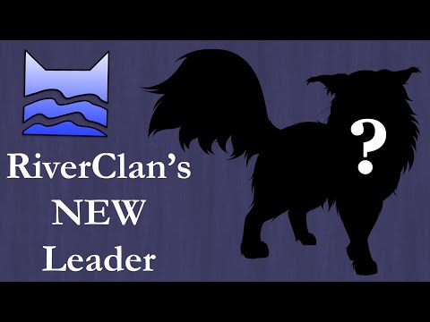 RiverClan's next leader is CONFIRMED!