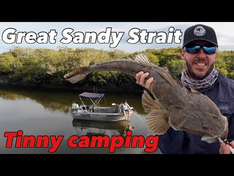 Tinny camping the Great Sandy Straits - Living from a 4m boat 🚤 Hunting for big lizards 🦎 🎣