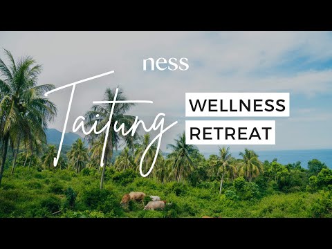 淨化心靈・五感療癒：ness wellness 台東深度療癒之旅