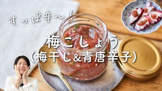 【すっぱ辛い調味料！】梅こしょうのレシピ・作り方