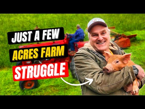 What Really Happened To Peter Larson from Just A Few Acres Farm?