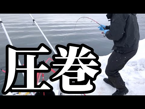 【北海道】【釣り】魚影激熱！！なんだっここ‼️高活性が止まらん！たまらんっ！