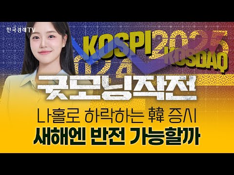 나 홀로 하락하는 韓증시, 새해엔 반전 가능할까 | 굿모닝작전_241230