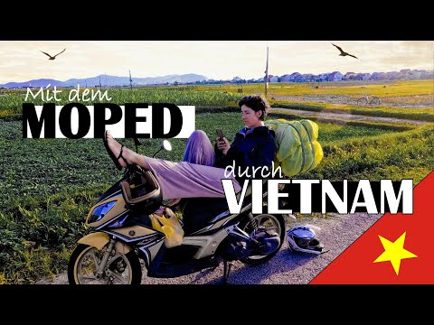 Fahr NICHT mit dem Roller in Vietnam ohne DIESES Video gesehen zu haben • Route • Kosten