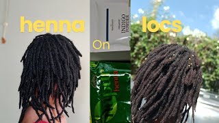 How to Apply Henna on Locs for Healthy, Vibrant Hair & Colour  || BeeMoniRae