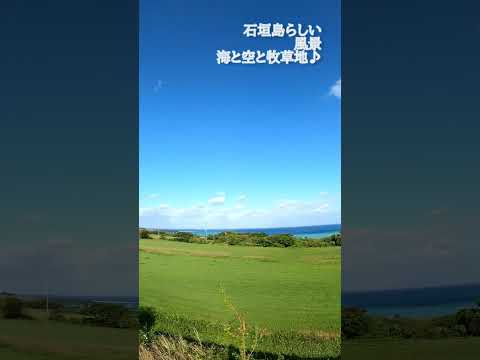 石垣島あるある♪海と空と牧草地