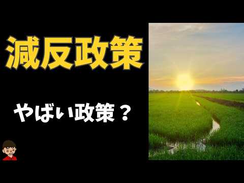 減反政策についてわかりやすく解説【日本の歴史】