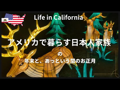 アメリカで暮らす日本人家族｜年末と、あっという間のお正月｜年末のコストコ｜クリスマス商品70%オフのTarget ｜Glowfari Oakland zoo｜夜の動物園行ってみた｜アメリカで除夜の鐘