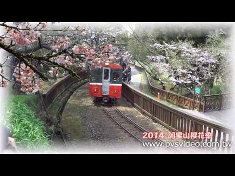 世訊　影片製作  2014 阿里山櫻花祭