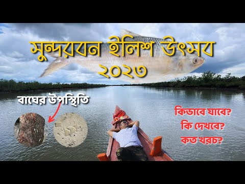 ইলিশের টানে সুন্দরবনে ২ রাত ৩ দিন | Sundarban Tour Plan | Sundarban Ilish Utsav 2023 | Rider Escaped