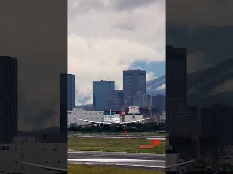 Beautiful wings, ANA Boeing 787 Osaka Itami Airport