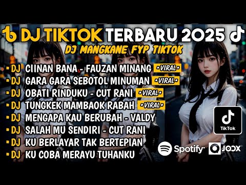 DJ SLOW BASS TERBARU 2025🎵DJ CIINAN BANA FAUZANA MINANG 🎵 DJ GARA GARA SEBOTOL MINUMAN 🎵 FULL ALBUM