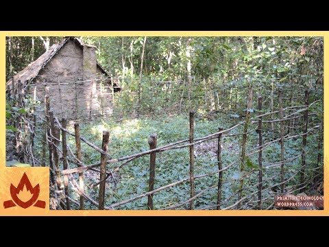 Primitive Technology: Sweet potato patch